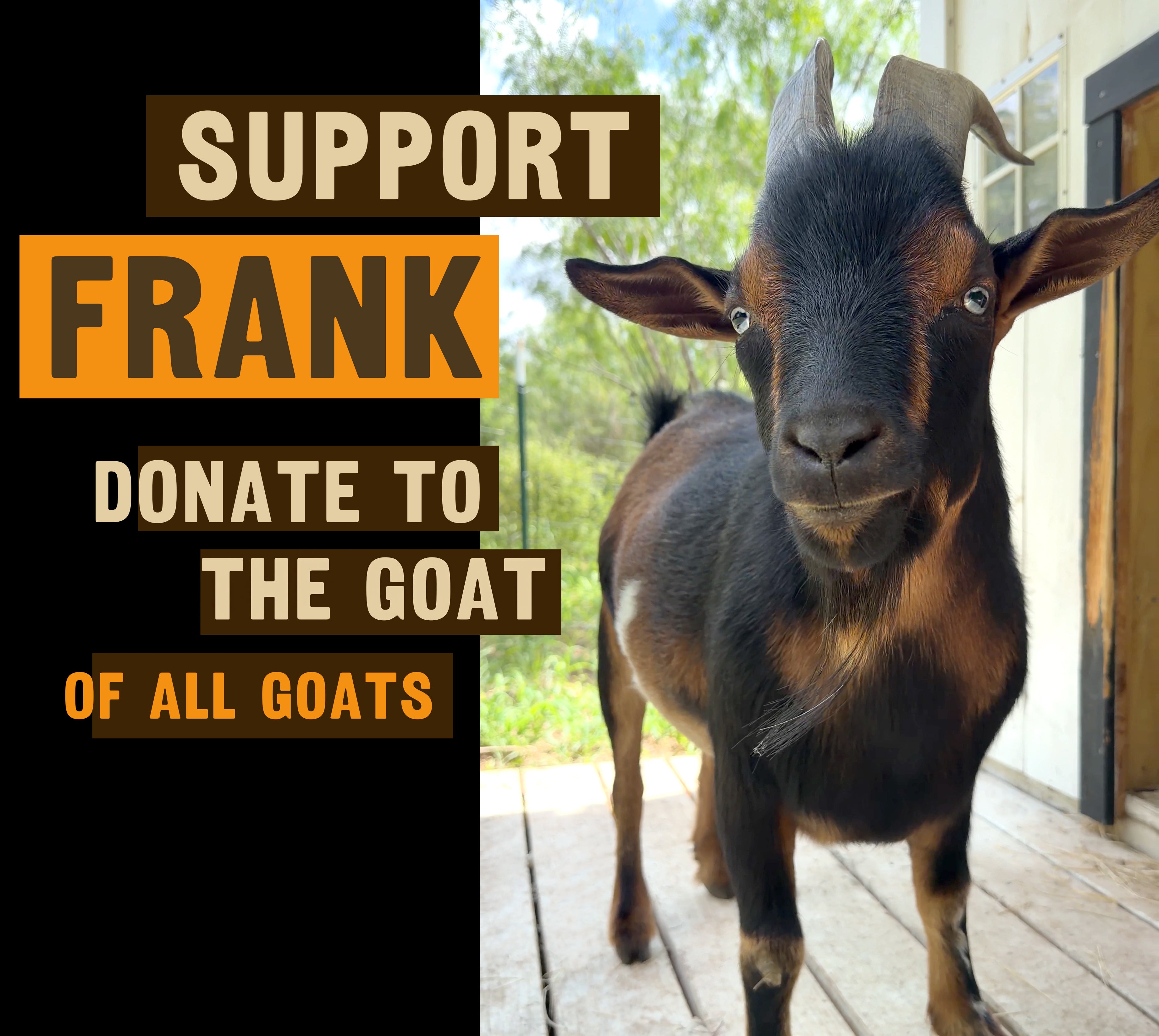 Support Feral Frank